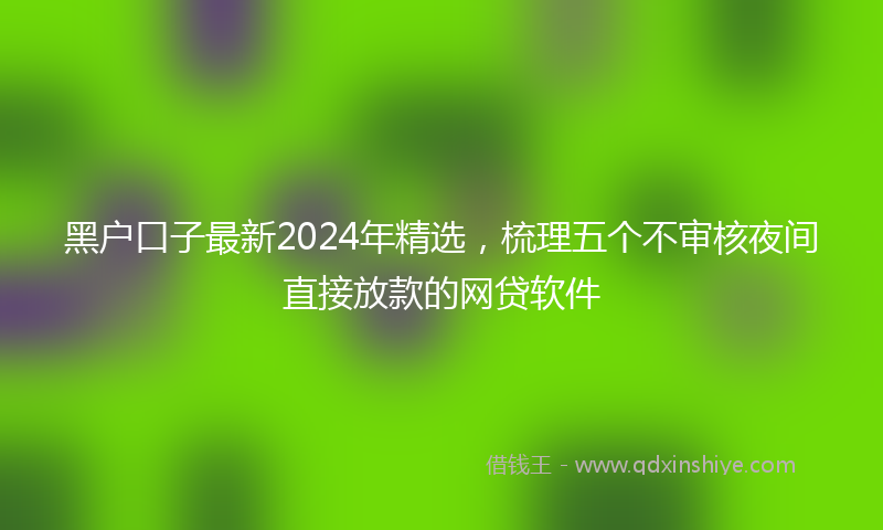 黑户口子最新2024年精选，梳理五个不审核夜间直接放款的网贷软件