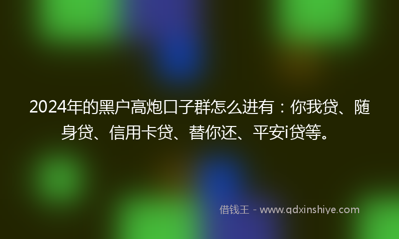 2024年的黑户高炮口子群怎么进有：你我贷、随身贷、信用卡贷、替你还、平安i贷等。