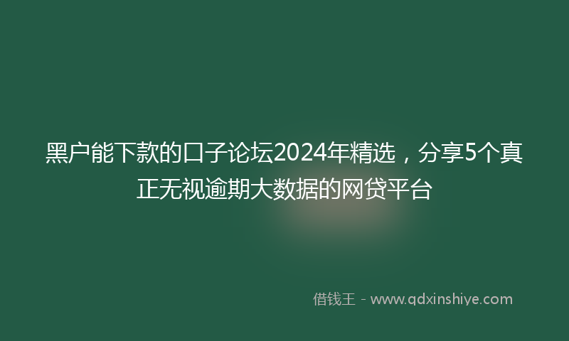 黑户能下款的口子论坛2024年精选，分享5个真正无视逾期大数据的网贷平台