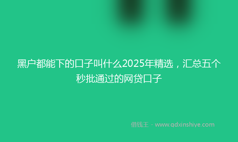 黑户都能下的口子叫什么2025年精选，汇总五个秒批通过的网贷口子