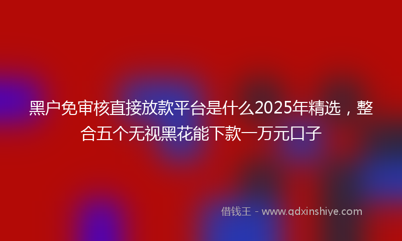 黑户免审核直接放款平台是什么2025年精选，整合五个无视黑花能下款一万元口子