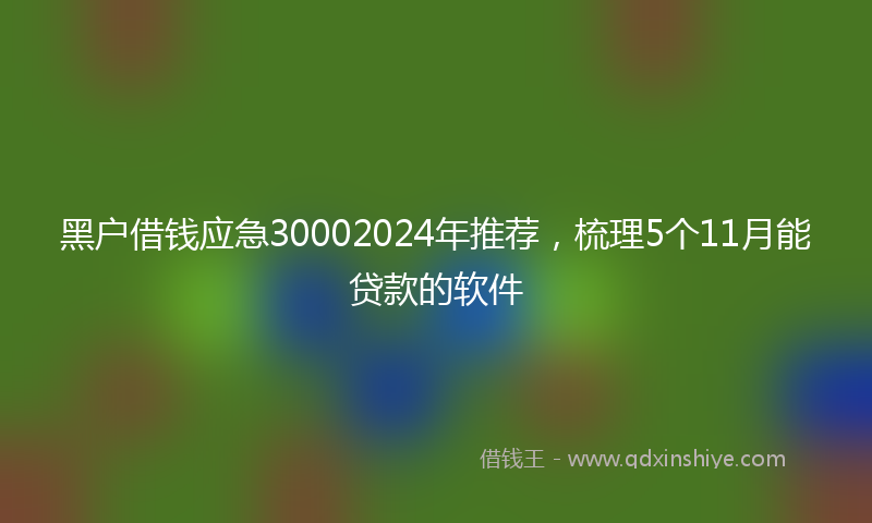 黑户借钱应急30002024年推荐，梳理5个11月能贷款的软件