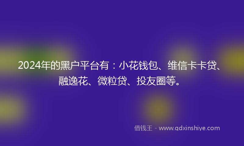 2024年的黑户平台有：小花钱包、维信卡卡贷、融逸花、微粒贷、投友圈等。
