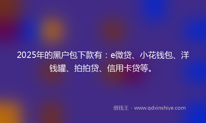 2025年的黑户包下款有：e微贷、小花钱包、洋钱罐、拍拍贷、信用卡贷等。
