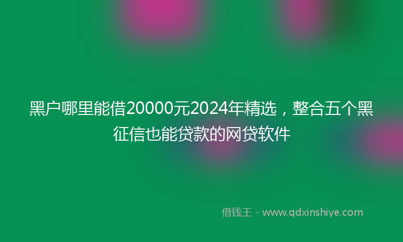 黑户哪里能借20000元2024年精选，整合五个黑征信也能贷款的网贷软件