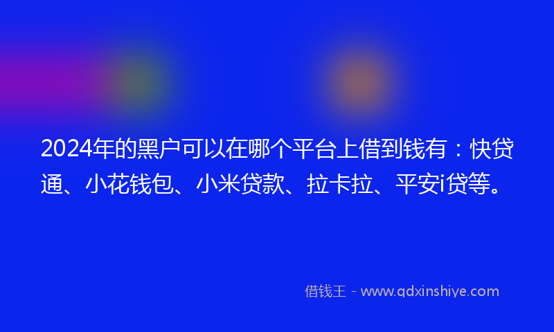 2024年的黑户可以在哪个平台上借到钱有：快贷通、小花钱包、小米贷款、拉卡拉、平安i贷等。