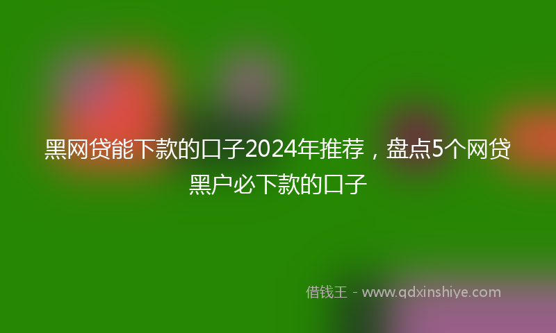 黑网贷能下款的口子2024年推荐，盘点5个网贷黑户必下款的口子