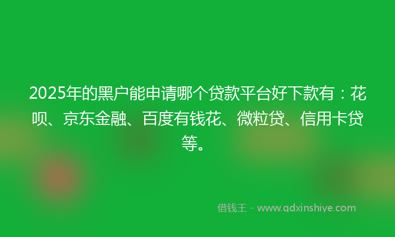 2025年的黑户能申请哪个贷款平台好下款有：花呗、京东金融、百度有钱花、微粒贷、信用卡贷等。