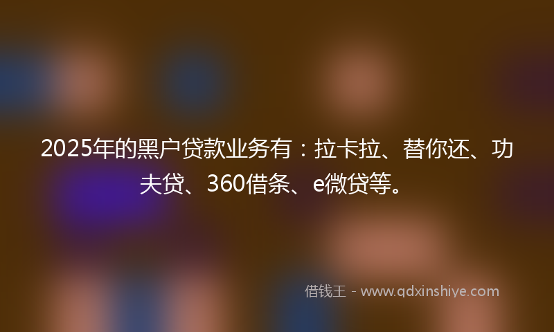 2025年的黑户贷款业务有：拉卡拉、替你还、功夫贷、360借条、e微贷等。