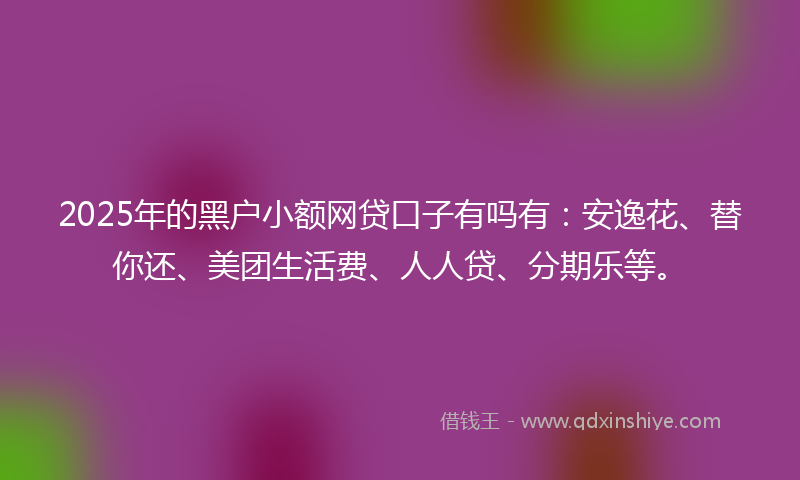 2025年的黑户小额网贷口子有吗有：安逸花、替你还、美团生活费、人人贷、分期乐等。