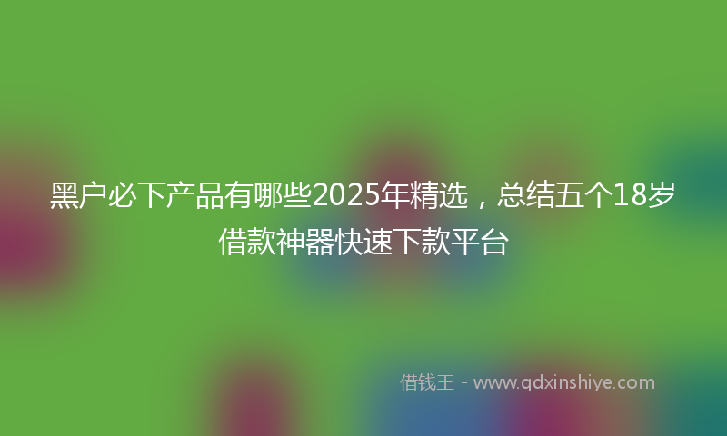 黑户必下产品有哪些2025年精选，总结五个18岁借款神器快速下款平台