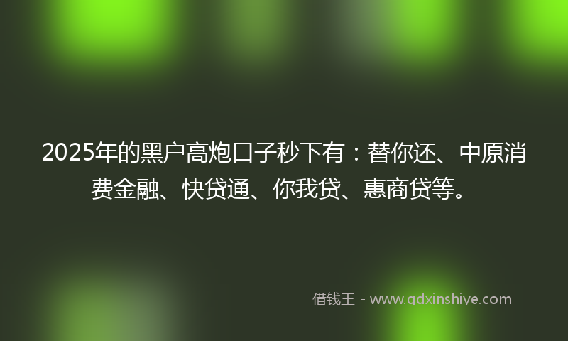 2025年的黑户高炮口子秒下有：替你还、中原消费金融、快贷通、你我贷、惠商贷等。