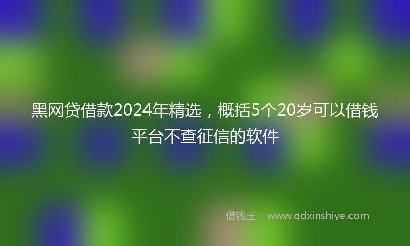 黑网贷借款2024年精选，概括5个20岁可以借钱平台不查征信的软件