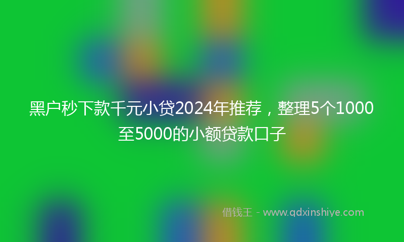 黑户秒下款千元小贷2024年推荐，整理5个1000至5000的小额贷款口子
