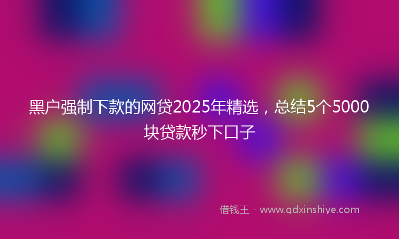 黑户强制下款的网贷2025年精选，总结5个5000块贷款秒下口子
