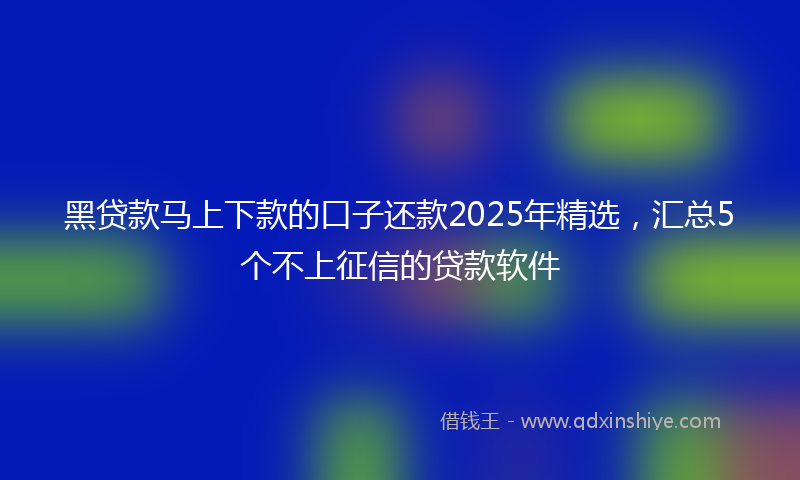 黑贷款马上下款的口子还款2025年精选，汇总5个不上征信的贷款软件