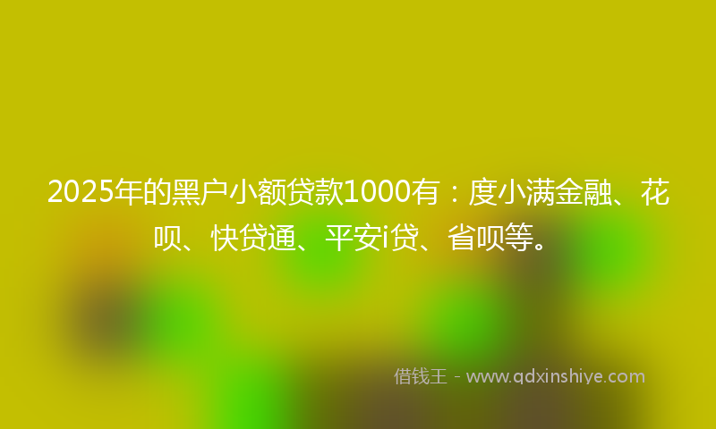 2025年的黑户小额贷款1000有：度小满金融、花呗、快贷通、平安i贷、省呗等。