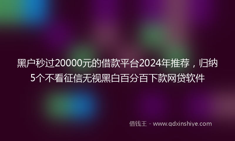 黑户秒过20000元的借款平台2024年推荐，归纳5个不看征信无视黑白百分百下款网贷软件