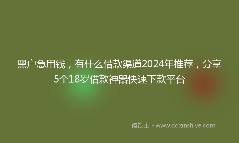 黑户急用钱，有什么借款渠道2024年推荐，分享5个18岁借款神器快速下款平台