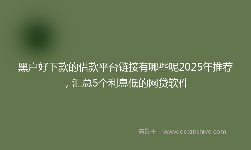 黑户好下款的借款平台链接有哪些呢2025年推荐，汇总5个利息低的网贷软件