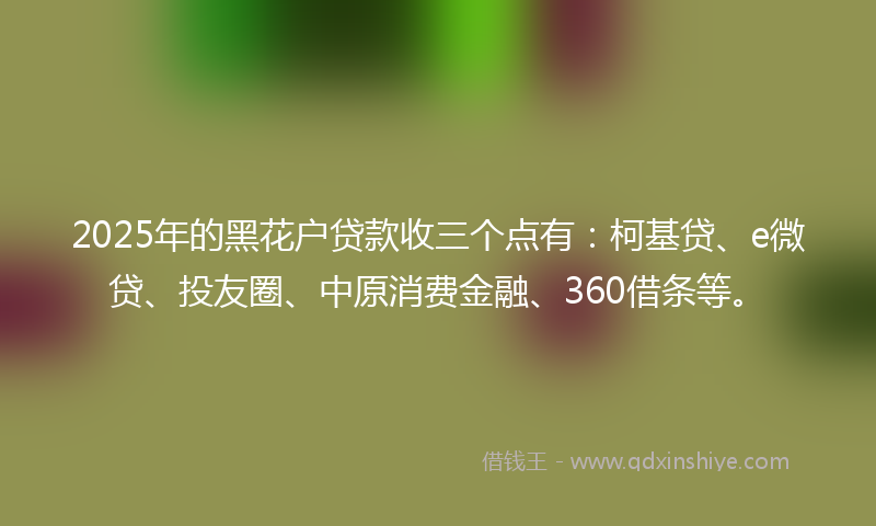 2025年的黑花户贷款收三个点有：柯基贷、e微贷、投友圈、中原消费金融、360借条等。