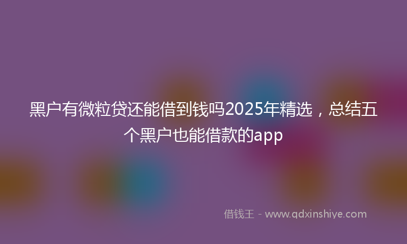 黑户有微粒贷还能借到钱吗2025年精选，总结五个黑户也能借款的app
