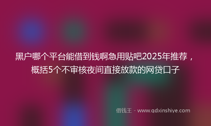 黑户哪个平台能借到钱啊急用贴吧2025年推荐，概括5个不审核夜间直接放款的网贷口子