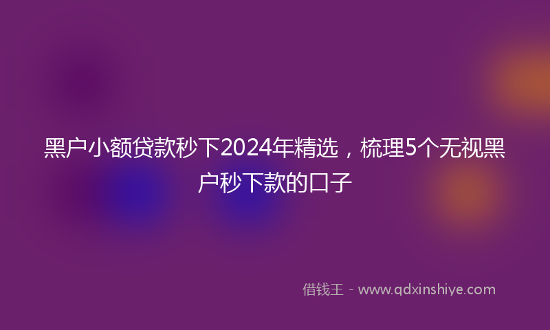 黑户小额贷款秒下2024年精选，梳理5个无视黑户秒下款的口子