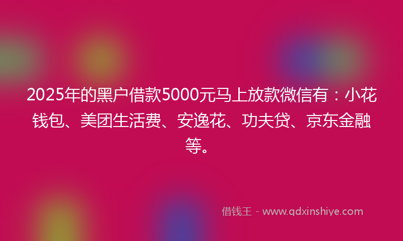 2025年的黑户借款5000元马上放款微信有：小花钱包、美团生活费、安逸花、功夫贷、京东金融等。