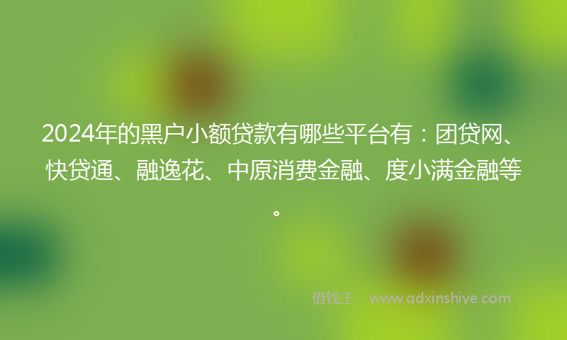 2024年的黑户小额贷款有哪些平台有：团贷网、快贷通、融逸花、中原消费金融、度小满金融等。
