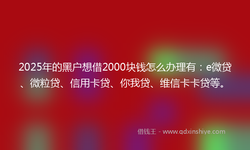 2025年的黑户想借2000块钱怎么办理有：e微贷、微粒贷、信用卡贷、你我贷、维信卡卡贷等。