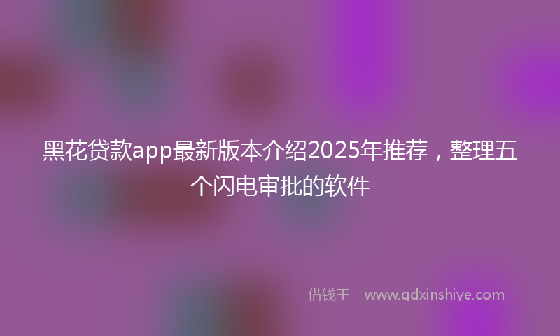 黑花贷款app最新版本介绍2025年推荐，整理五个闪电审批的软件