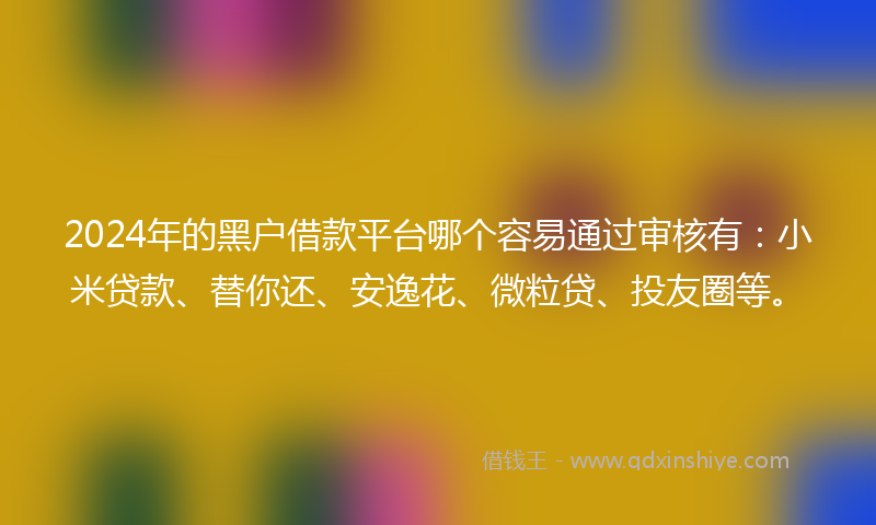 2024年的黑户借款平台哪个容易通过审核有：小米贷款、替你还、安逸花、微粒贷、投友圈等。