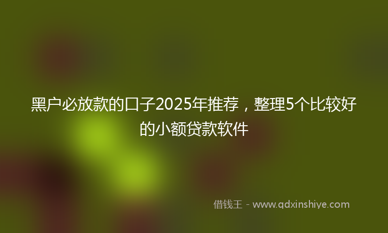 黑户必放款的口子2025年推荐，整理5个比较好的小额贷款软件