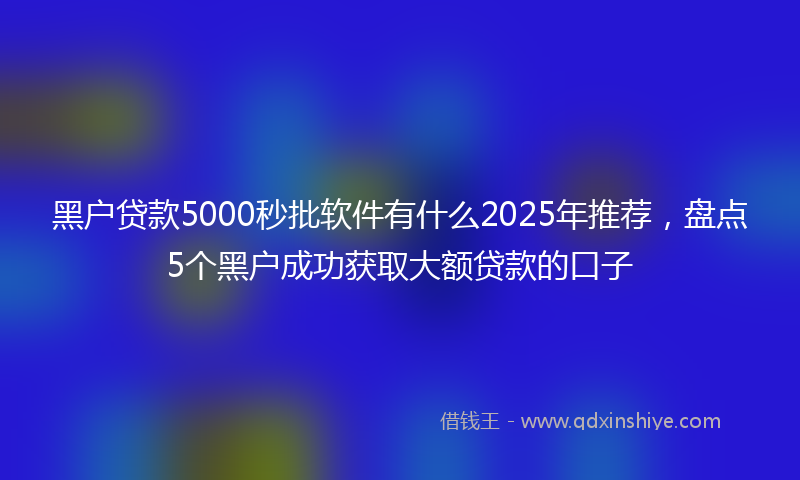 黑户贷款5000秒批软件有什么2025年推荐，盘点5个黑户成功获取大额贷款的口子