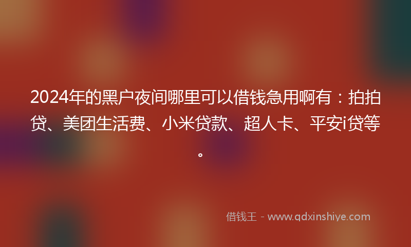 2024年的黑户夜间哪里可以借钱急用啊有：拍拍贷、美团生活费、小米贷款、超人卡、平安i贷等。