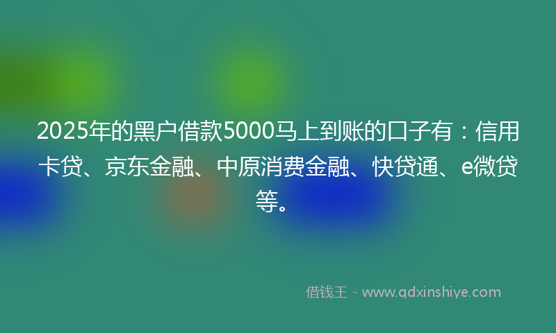 2025年的黑户借款5000马上到账的口子有：信用卡贷、京东金融、中原消费金融、快贷通、e微贷等。