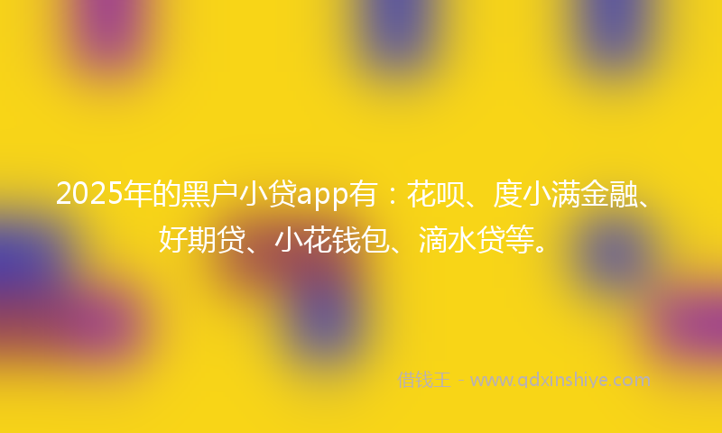 2025年的黑户小贷app有：花呗、度小满金融、好期贷、小花钱包、滴水贷等。