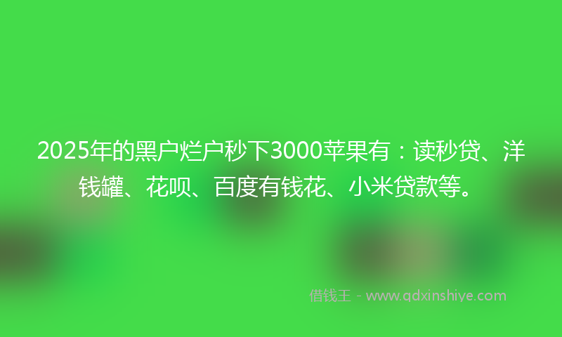 2025年的黑户烂户秒下3000苹果有：读秒贷、洋钱罐、花呗、百度有钱花、小米贷款等。