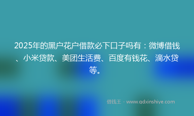 2025年的黑户花户借款必下口子吗有：微博借钱、小米贷款、美团生活费、百度有钱花、滴水贷等。