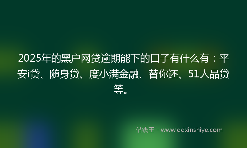 2025年的黑户网贷逾期能下的口子有什么有：平安i贷、随身贷、度小满金融、替你还、51人品贷等。