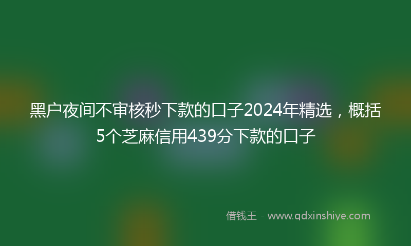 黑户夜间不审核秒下款的口子2024年精选，概括5个芝麻信用439分下款的口子