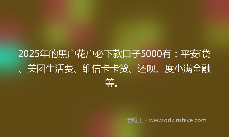 2025年的黑户花户必下款口子5000有：平安i贷、美团生活费、维信卡卡贷、还呗、度小满金融等。