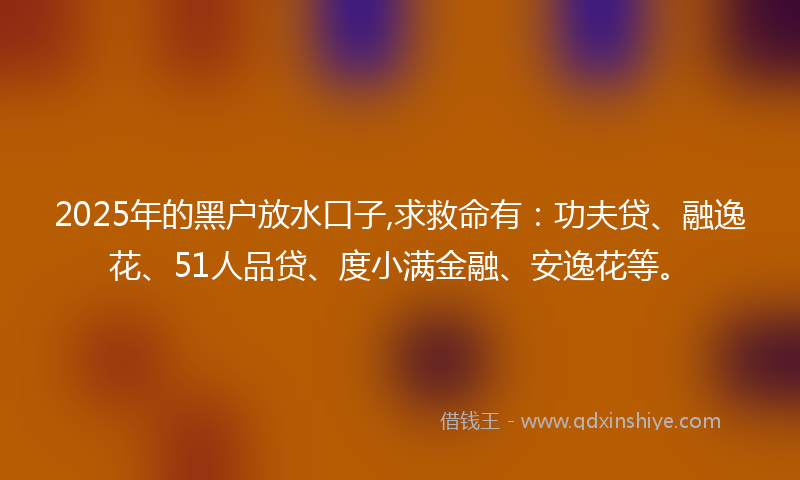 2025年的黑户放水口子,求救命有：功夫贷、融逸花、51人品贷、度小满金融、安逸花等。
