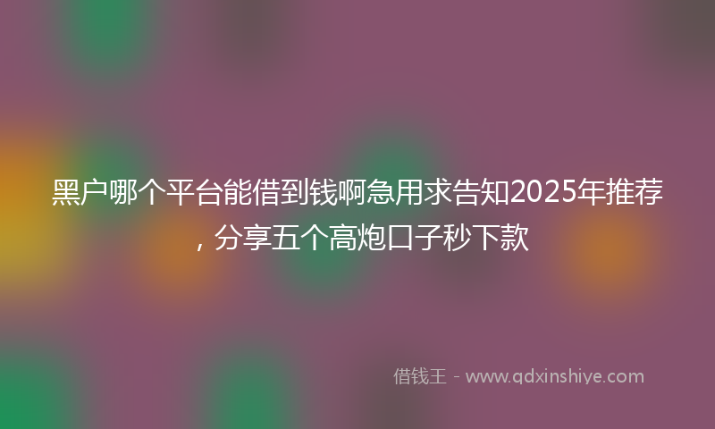 黑户哪个平台能借到钱啊急用求告知2025年推荐，分享五个高炮口子秒下款