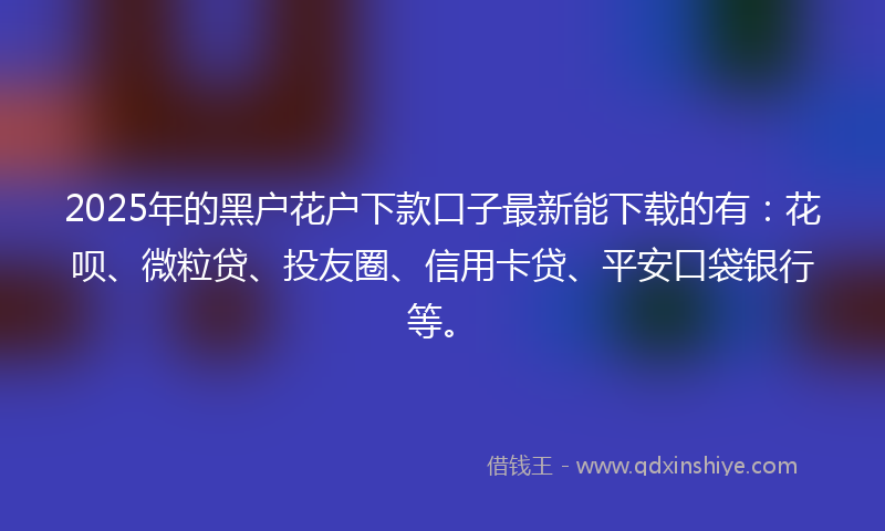2025年的黑户花户下款口子最新能下载的有：花呗、微粒贷、投友圈、信用卡贷、平安口袋银行等。