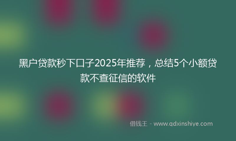 黑户贷款秒下口子2025年推荐，总结5个小额贷款不查征信的软件