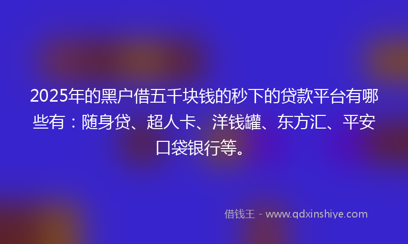 2025年的黑户借五千块钱的秒下的贷款平台有哪些有：随身贷、超人卡、洋钱罐、东方汇、平安口袋银行等。