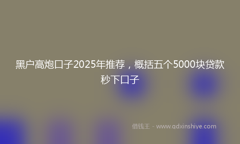 黑户高炮口子2025年推荐，概括五个5000块贷款秒下口子