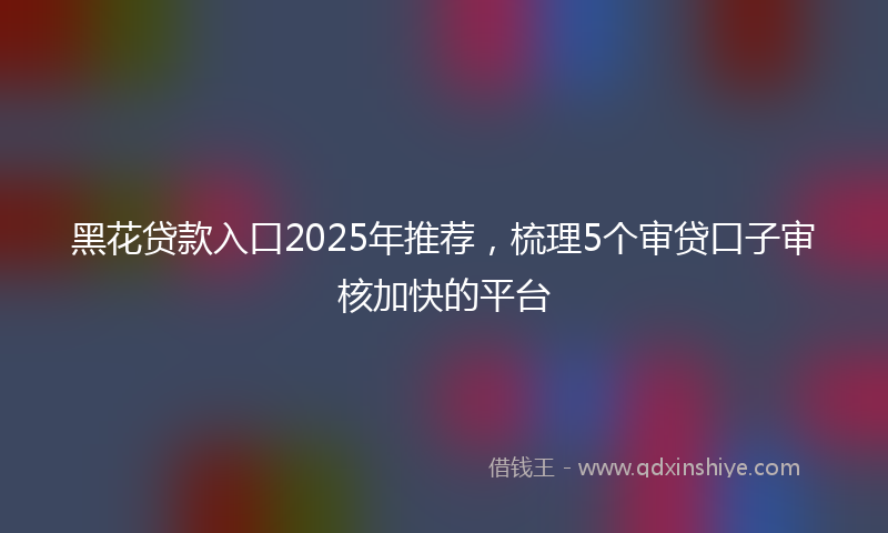 黑花贷款入口2025年推荐，梳理5个审贷口子审核加快的平台